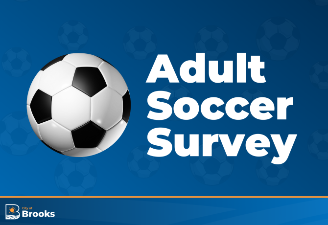 Adult Soccer Survey