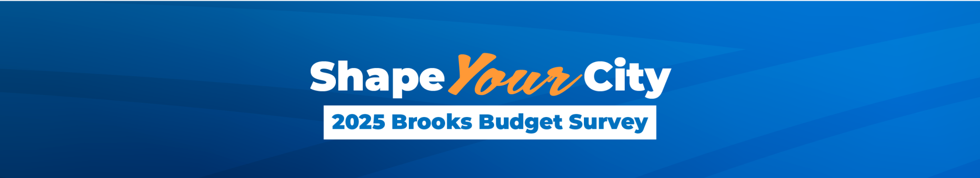 2025 Budget Banner